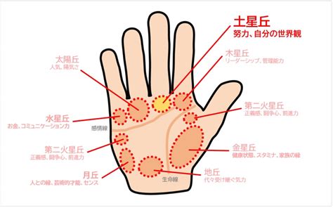 土星丘直紋|【手相占い】中指の下（土星丘）の見方20選！縦/横/。